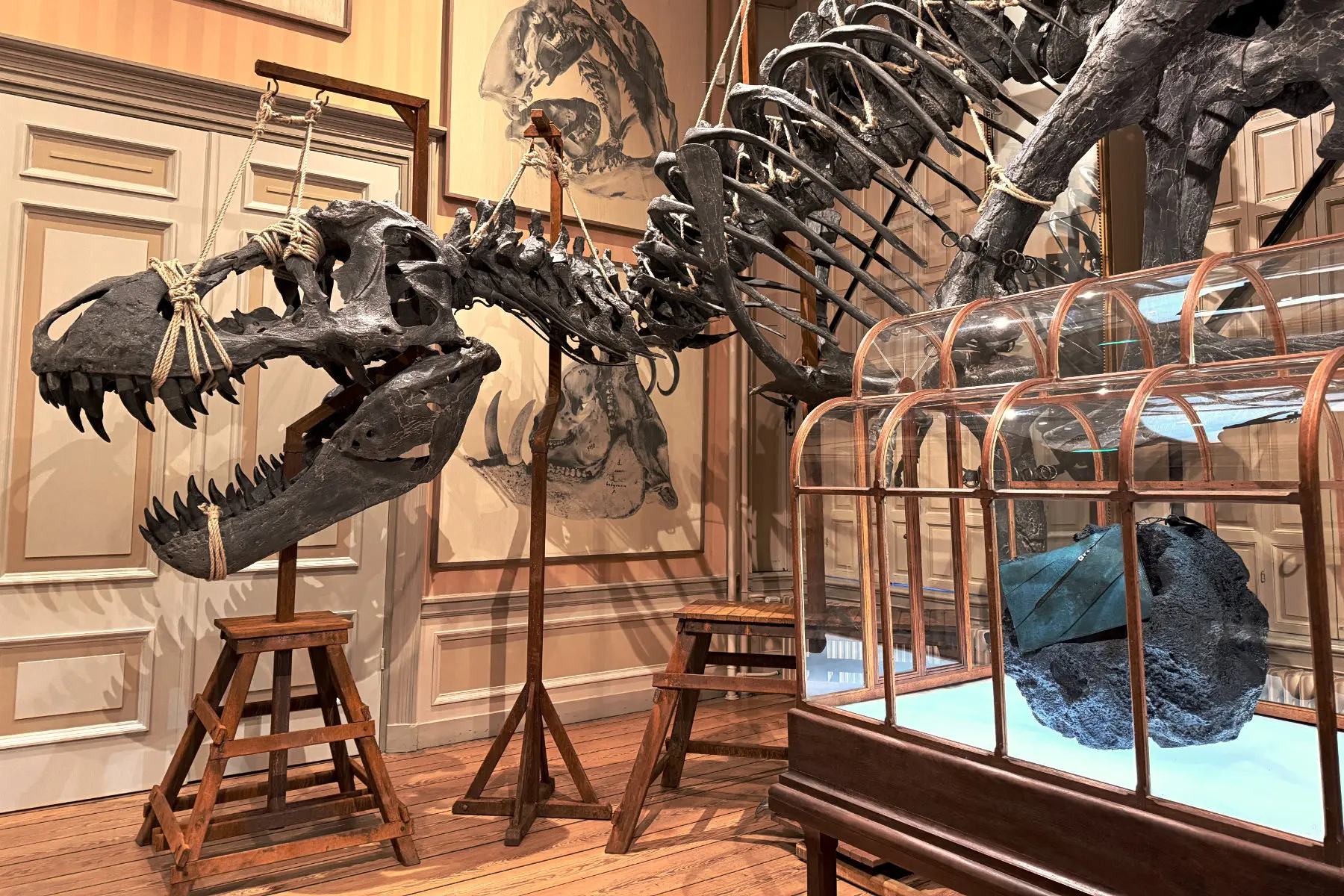 Trex and Handbag at Art Zoo Muesum