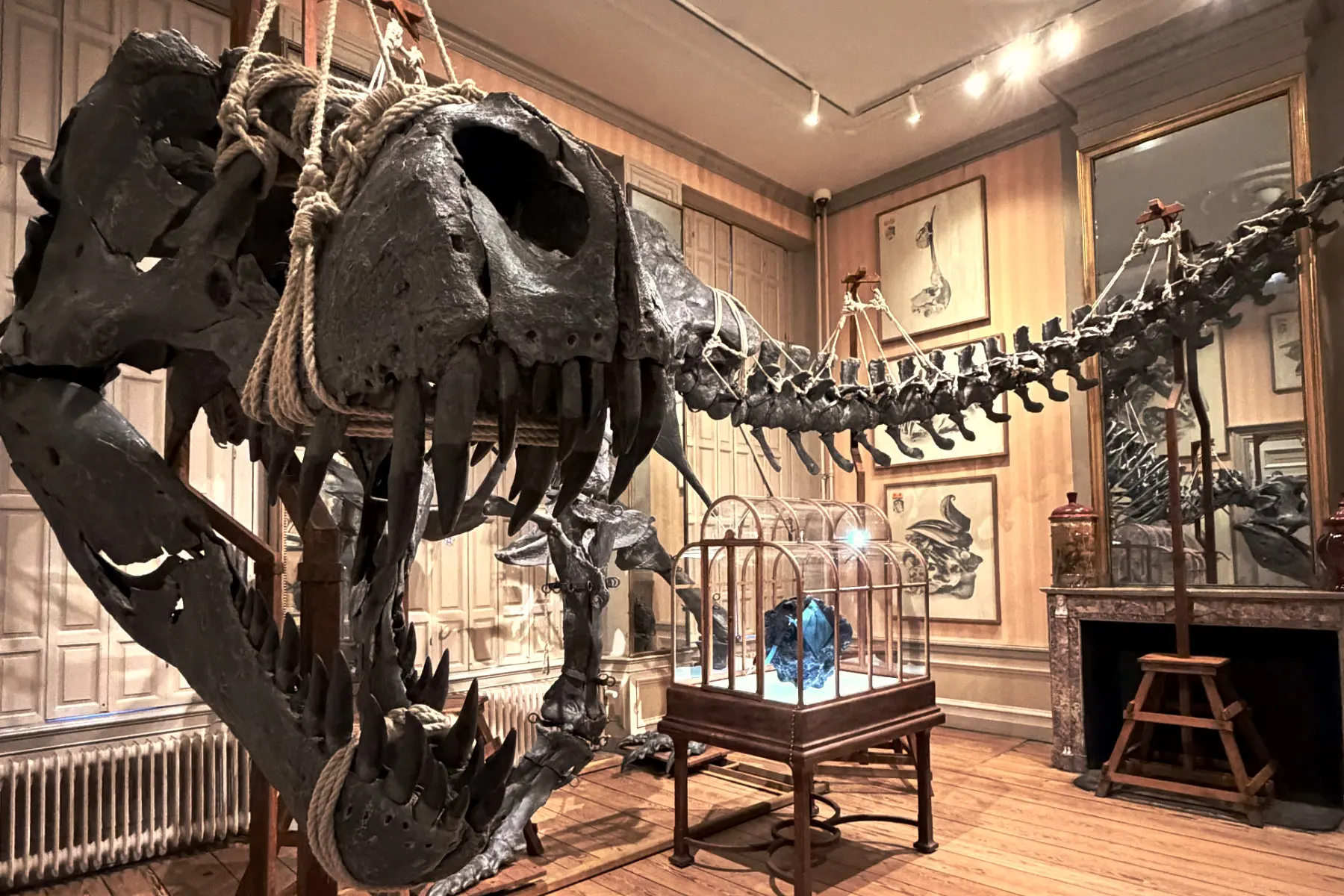 We Booked Art Zoo Because of a Dinosaur Handbag - Pull Up a Chair
